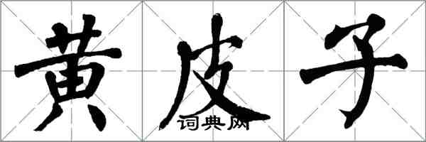 翁闿运黄皮子楷书怎么写