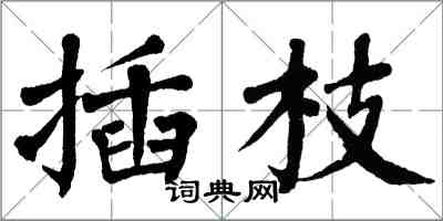 翁闿运插枝楷书怎么写