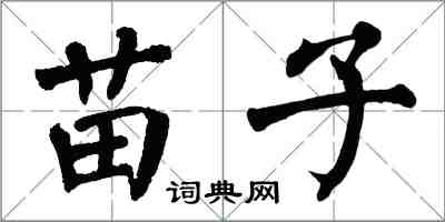 翁闿运苗子楷书怎么写