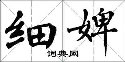 翁闿运细婢楷书怎么写