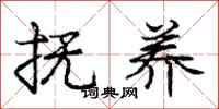 庞中华抚养行书怎么写
