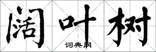 翁闿运阔叶树楷书怎么写