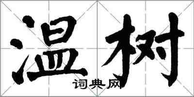 翁闿运温树楷书怎么写