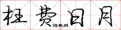 庞中华枉费日月行书怎么写