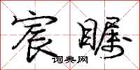 庞中华宸瞩行书怎么写