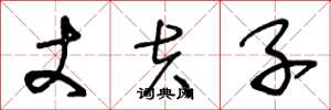 王冬龄丈夫子草书怎么写