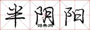 庞中华半阴阳行书怎么写