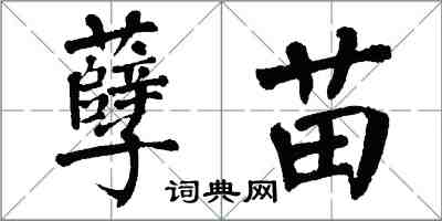 翁闿运孽苗楷书怎么写