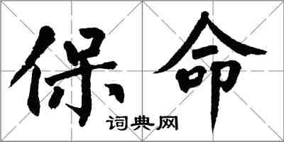 翁闿运保命楷书怎么写