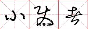 王冬龄小使者草书怎么写