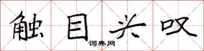 袁强触目兴叹楷书怎么写