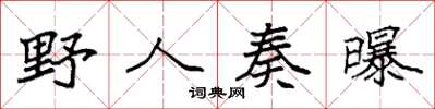 袁强野人奏曝楷书怎么写