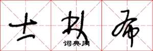 王冬龄士林布草书怎么写