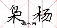袁强枭杨楷书怎么写