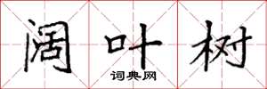 袁强阔叶树楷书怎么写