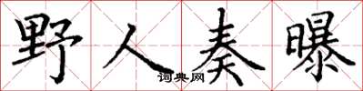 丁谦野人奏曝楷书怎么写