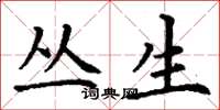 丁谦丛生楷书怎么写
