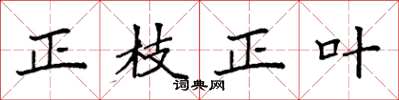 袁强正枝正叶楷书怎么写