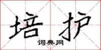 袁强培护楷书怎么写