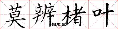 丁谦莫辨楮叶楷书怎么写