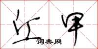 王冬龄丘甲草书怎么写