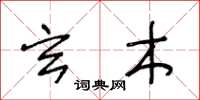 王冬龄玄木草书怎么写