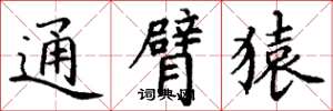 丁谦通臂猿楷书怎么写