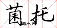 丁谦菌托楷书怎么写