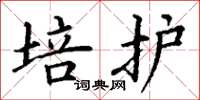 丁谦培护楷书怎么写