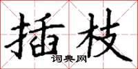 丁谦插枝楷书怎么写