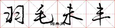 曾庆福羽毛未丰行书怎么写