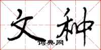 曾庆福文种行书怎么写