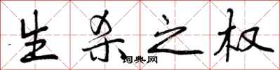 曾庆福生杀之权行书怎么写