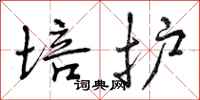 曾庆福培护行书怎么写