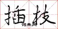 曾庆福插枝行书怎么写