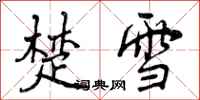 曾庆福楚雪行书怎么写