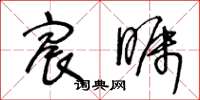 王冬龄宸瞩草书怎么写