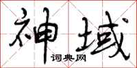 曾庆福神域行书怎么写