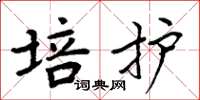 周炳元培护楷书怎么写