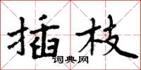 周炳元插枝楷书怎么写