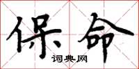 周炳元保命楷书怎么写