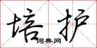 荆霄鹏培护行书怎么写