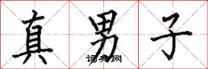 何伯昌真男子楷书怎么写