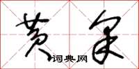 王冬龄黄采草书怎么写