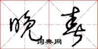 王冬龄晚春草书怎么写
