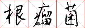 钱沛云根瘤菌行书怎么写