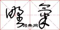 王冬龄野气草书怎么写