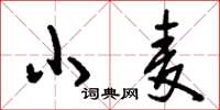 刘少英小麦草书怎么写