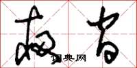 刘少英夜间草书怎么写