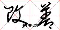 刘少英改善草书怎么写